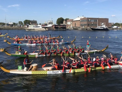 香港龙舟节在比利时安特卫普受到热烈欢迎