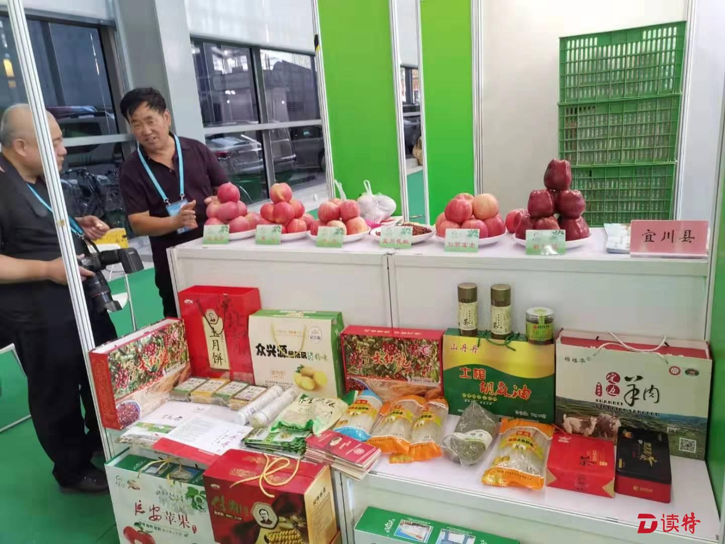 “品延安苹果，观壶口瀑布” 革命老区延安宜川向深圳市民发出邀请