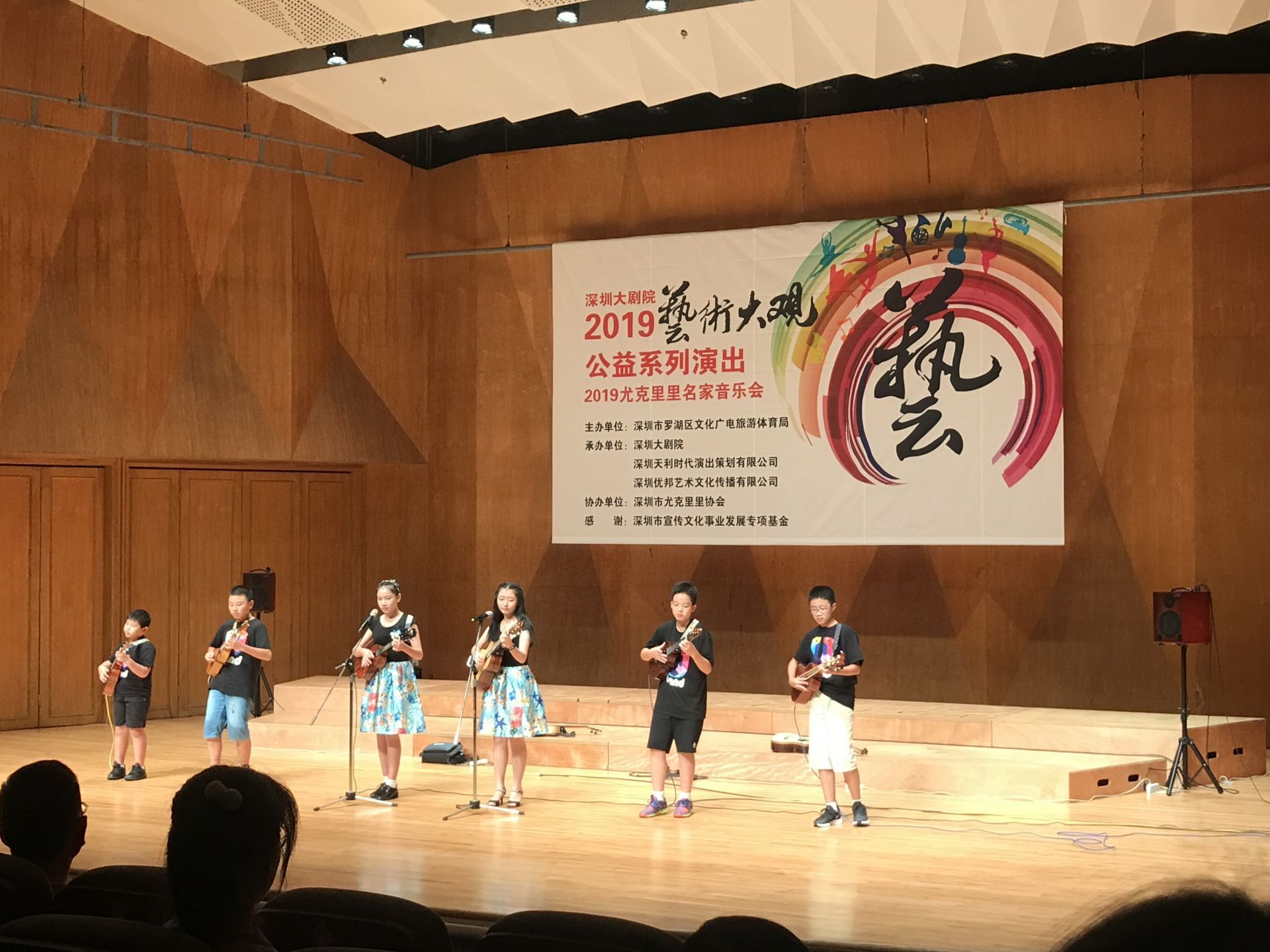 公益演出贺佳节，“2019深圳尤克里里名家音乐会”举行