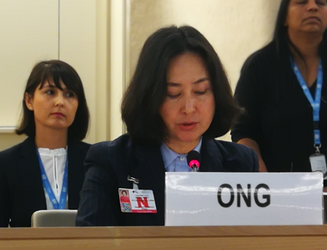何超琼：暴力极端主义只会给香港留下无法弥补的伤痕
