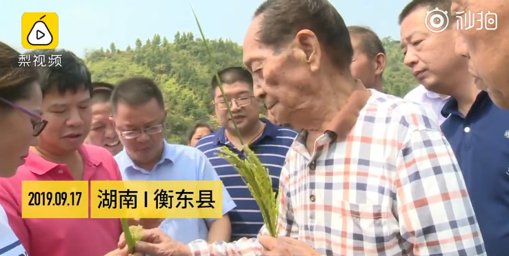 致敬！袁隆平获奖当天还在田间：被授予国家勋章和荣誉称号