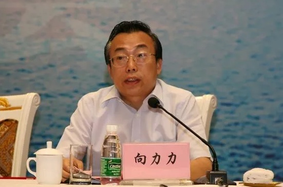 最高人民检察院依法分别对向力力、魏传忠决定逮捕 