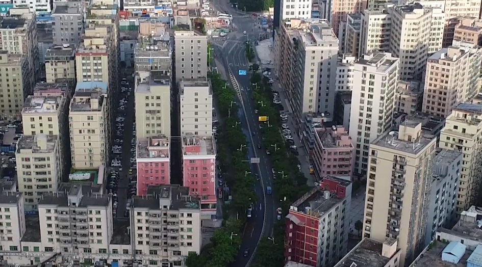 龙岗党建亮点｜坂田街道大光勘居民小组大抓基层 提供“大光勘村样本”