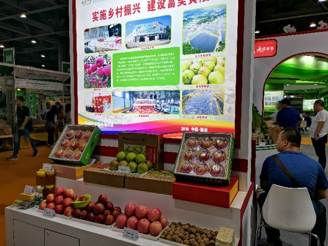7万吨延安苹果南下，丰富老广中秋餐桌！300元可认养一棵果树