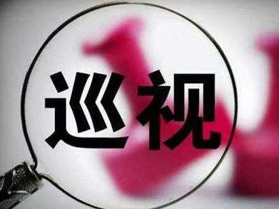 十九届中央第四轮巡视将对37个中央和国家机关单位开展常规巡视