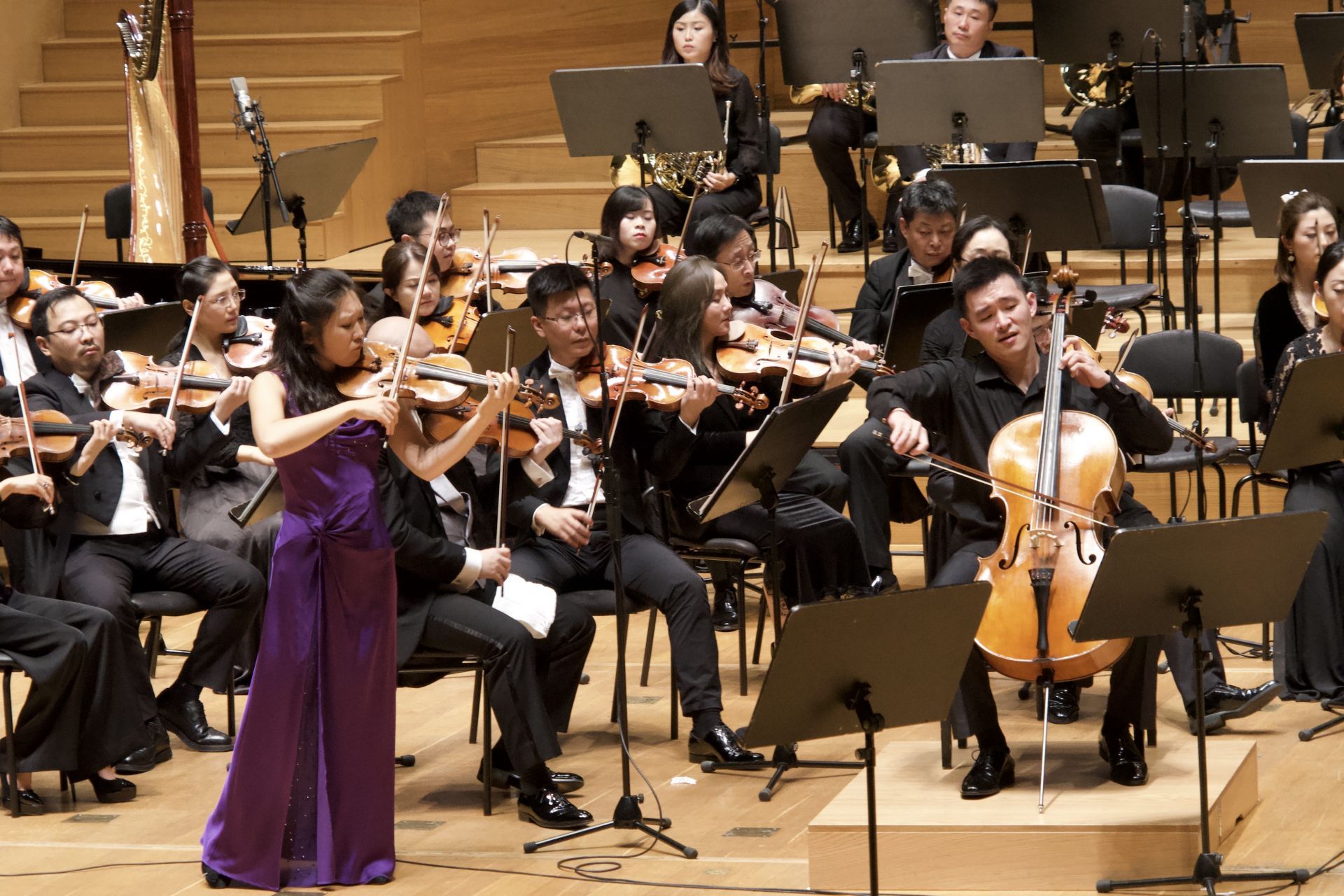 “深圳声音”惊艳卢布尔雅那艺术节 深交2019欧洲巡演首站告捷