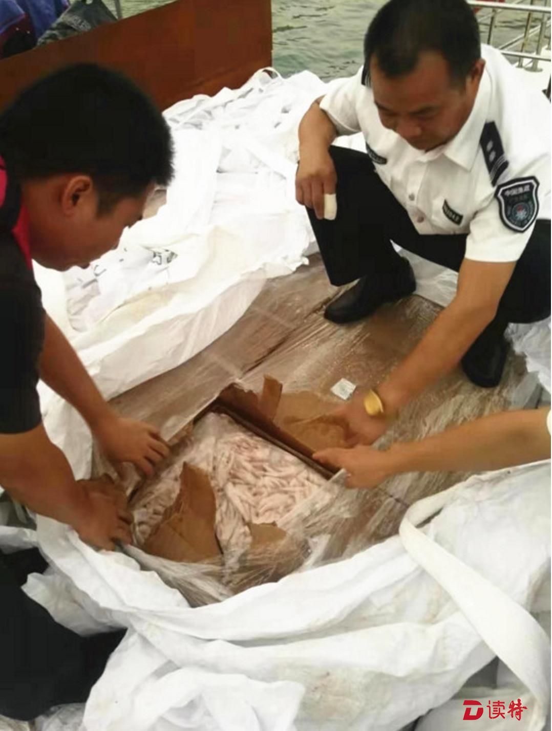 你啃的鸡翅猪脚可能来自这里！深圳海上突击执法缴获走私冻品44吨