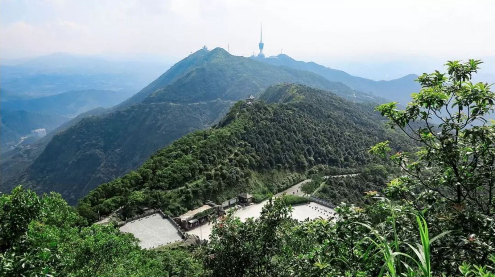 是好汉，你就来！2019第十二届梧桐山登高赛火热报名中……
