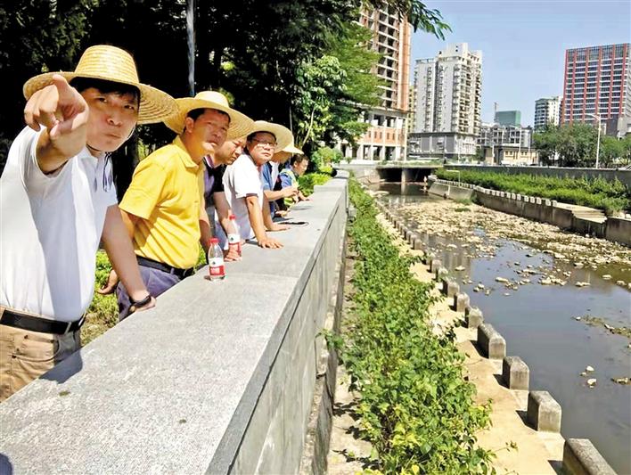 宝安新桥街道多举措推进黑臭水体治理，开展全河段大排查大整治