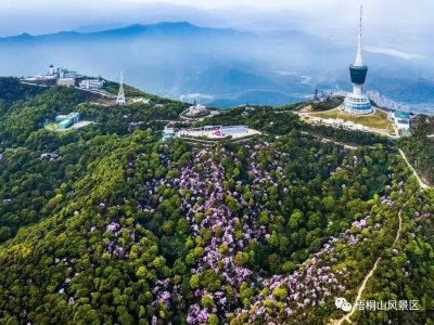 “深圳自然保护论坛”：率先打造人与自然和谐共生的美丽中国典范