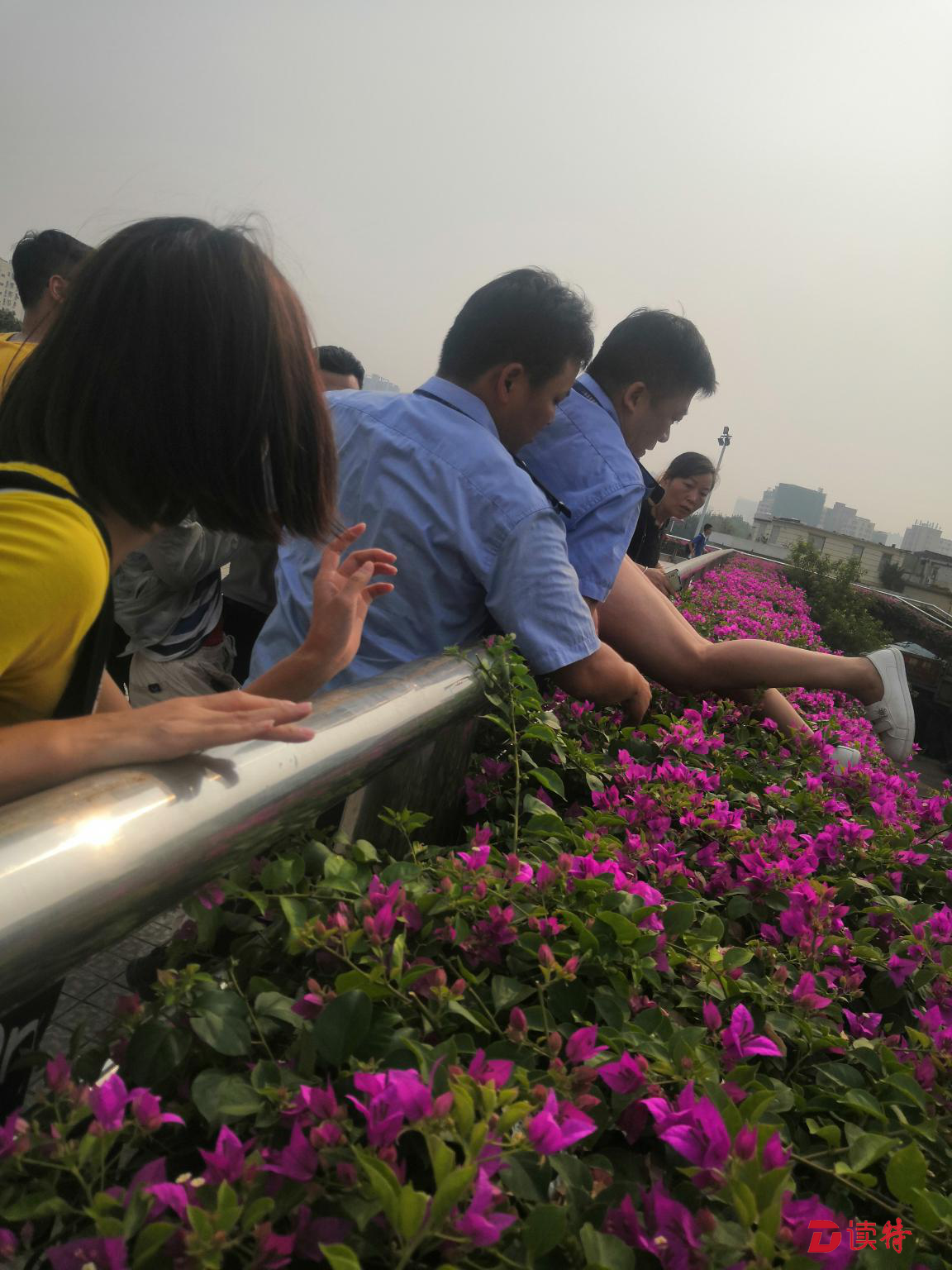 惊险！女子欲跳桥轻生，网格员飞身将其救下