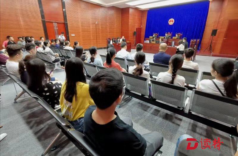 超过十万网友在线观看！龙岗法院专项活动又结硕果