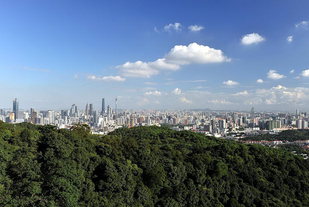 广东省委常委会召开会议深入推进全面深化改革全面依法治省 李希主持