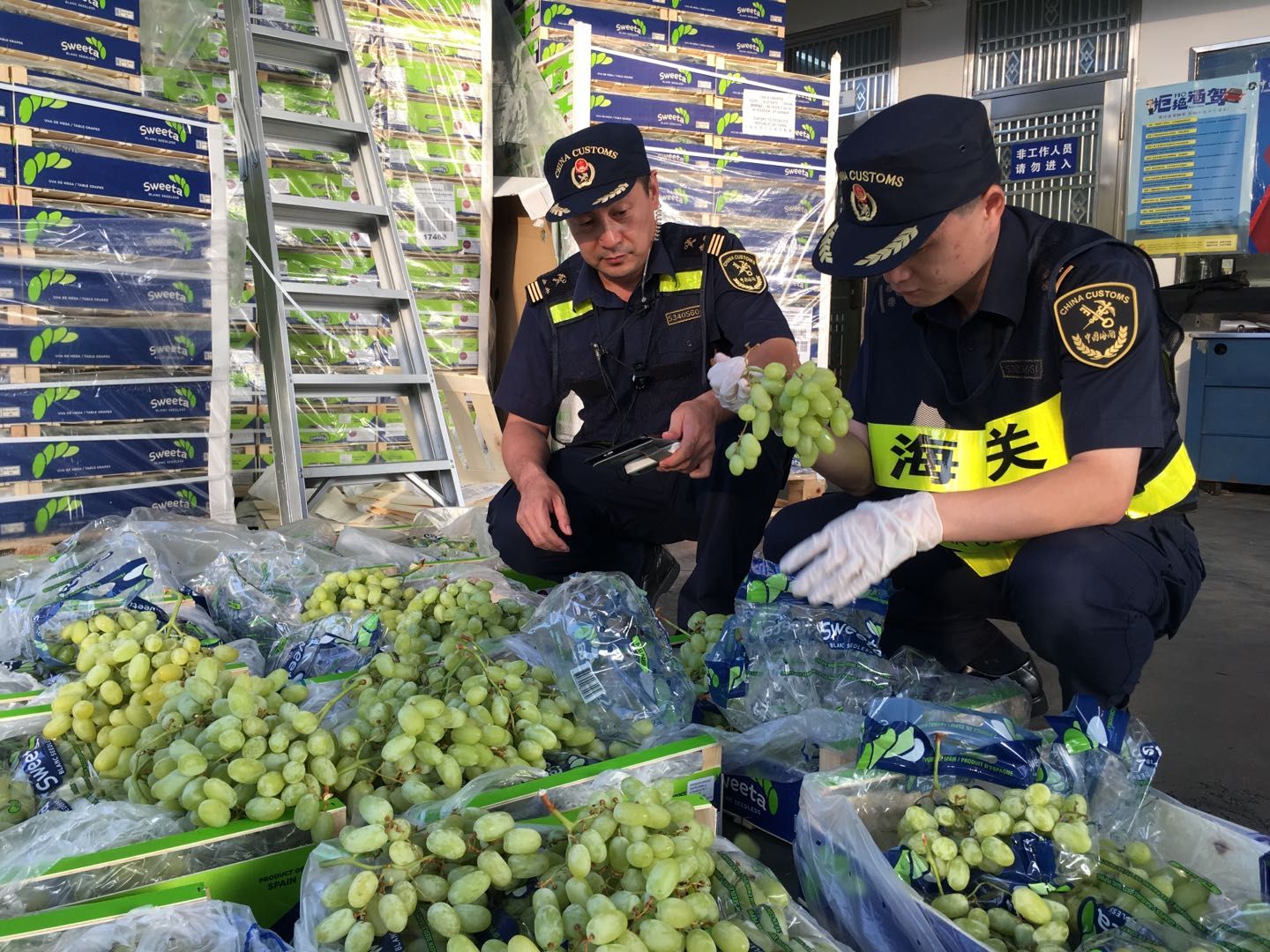西班牙葡萄经深圳首次进口进入内地市场