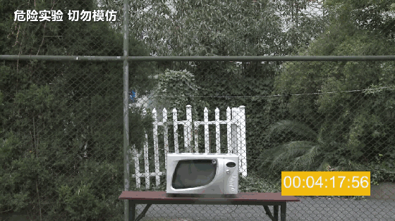 绝对不能进微波炉的10样东西，你知道几个？