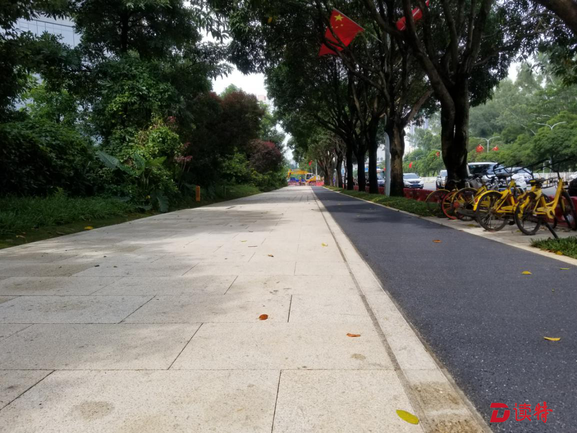 快来打卡！深圳福田中心区又有网红点