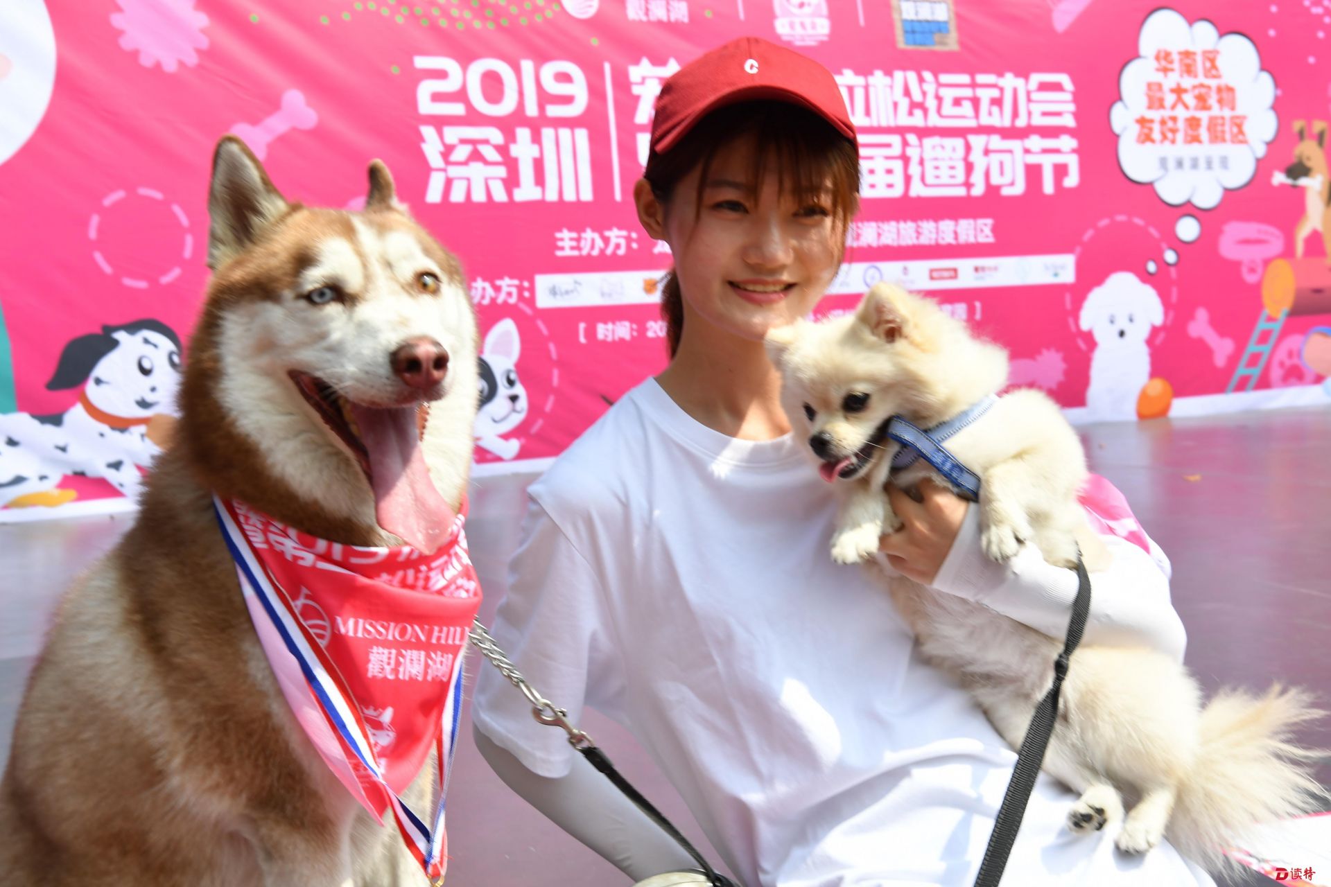 观澜湖内大跑“宠马”，国庆长假嗨翻天