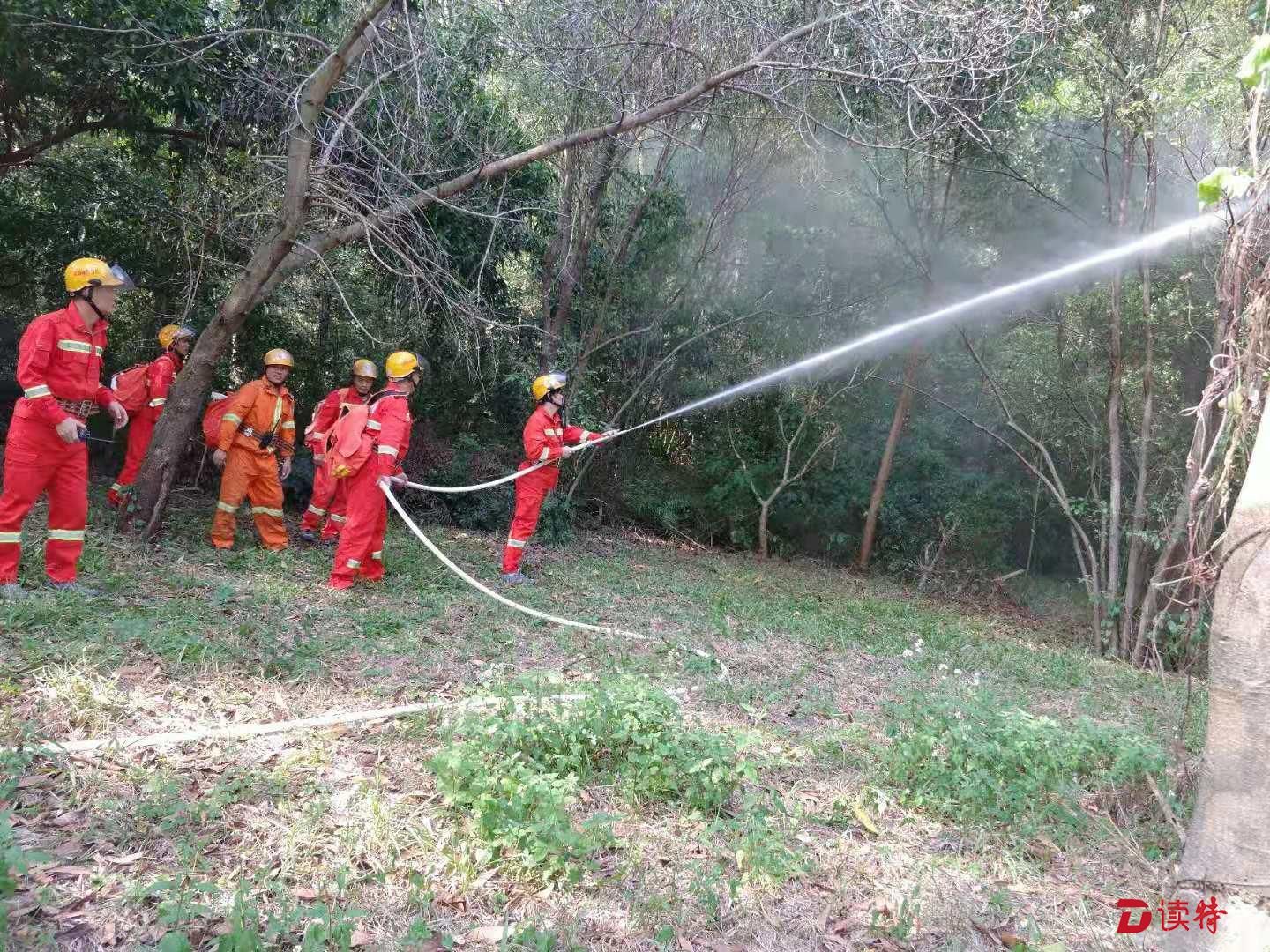 龙城街道举行消防实战演练，筑牢冬季森林“防火墙”