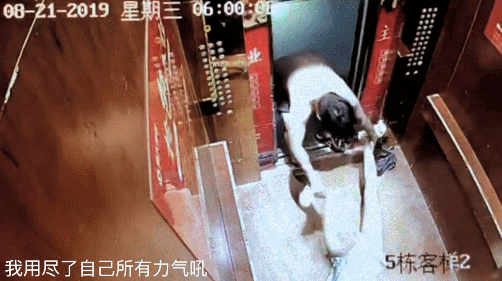 宇芽被家暴引震怒 维权重担并非只压在受害者肩头