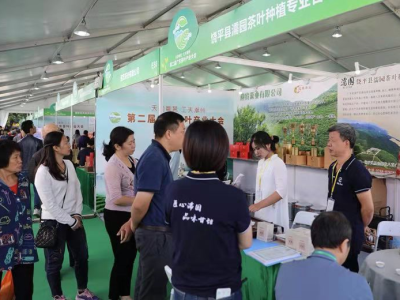 广东举办第二届茶叶产业大会 打造生态茶业大省建成100个生态茶园