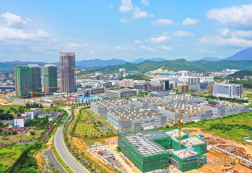 热议 | 全区广大政务职员：用辛勤的劳动与汗水共筑“深汕梦”