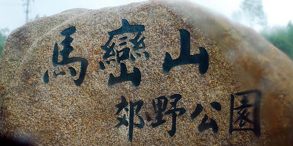 招募“手作步道”志愿者！一起为马峦山铺制道路吧