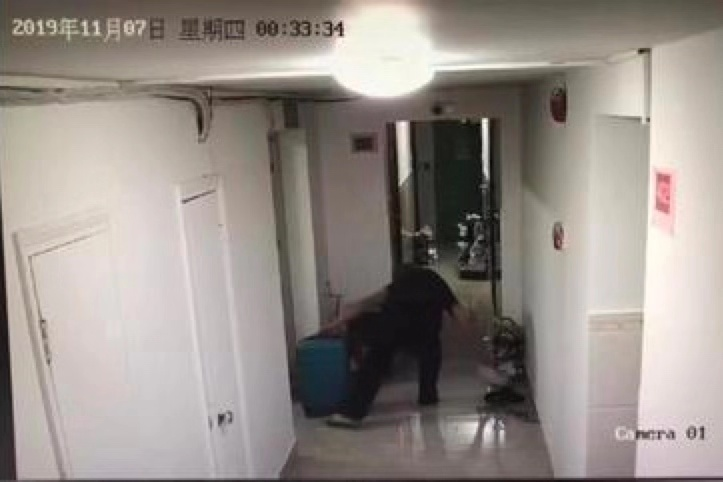 笨贼入室盗窃躲厕所一小时 逃跑时还落下证件 