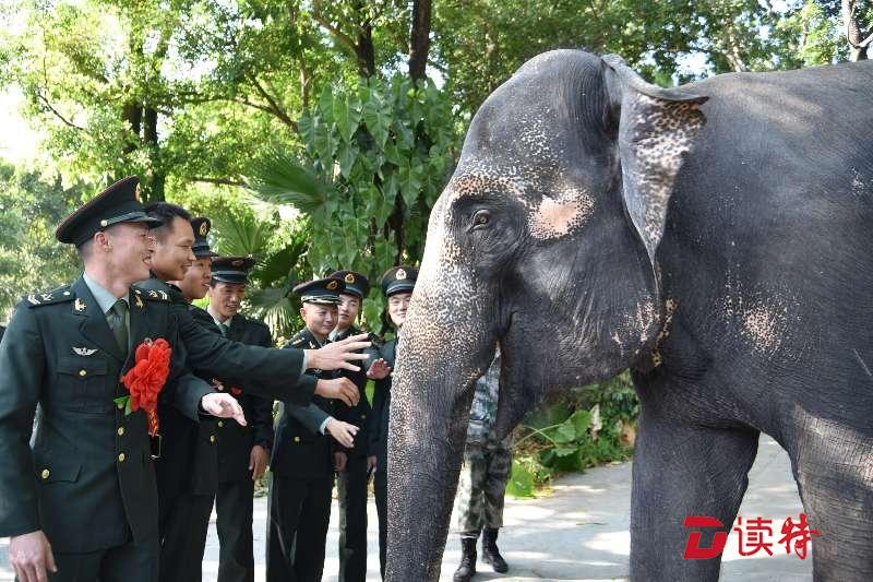 百余名退伍老兵免费畅游深圳野生动物园