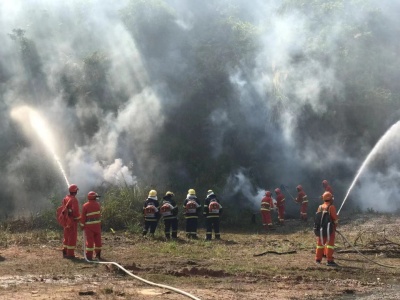 防患于未“燃”！坪山区开展处置森林火灾应急演练