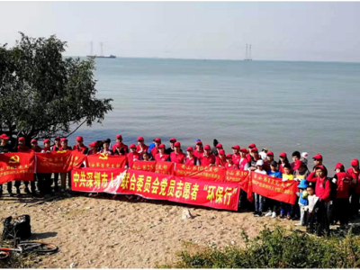 深圳市人才联合党委：400党员志愿者参加2019公益“环保行”
