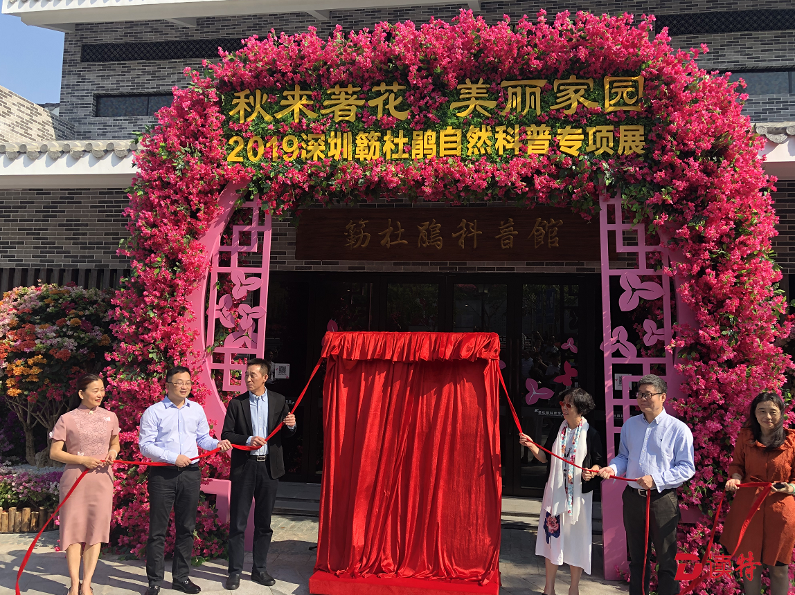 深圳簕杜鹃自然科普专项展开幕  22项活动精彩纷呈等你来