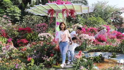 莲花山公园迎来最美时刻，这场花展让你惊艳！