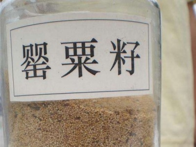 砂锅粥竟用罂粟增添风味，龙华一黑心老板屋内被查出4公斤罂粟籽