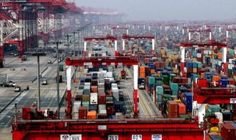 中国经济发展前景一定会更加光明——论习近平主席在第二届中国国际进口博览会开幕式上主旨演讲