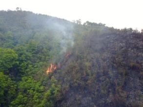 紧急通知：深圳森林火险预警升级为红色！全市林地禁止用火
