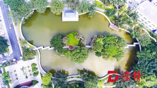 美在家门口！深圳将新增两处市级湿地公园