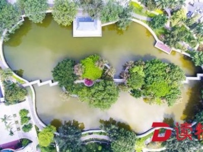 美在家门口！深圳将新增两处市级湿地公园