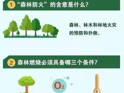 深圳森林火险红色预警持续生效中 这五点需市民注意