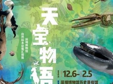 深圳博物馆自然标本征集汇报展”开幕啦！