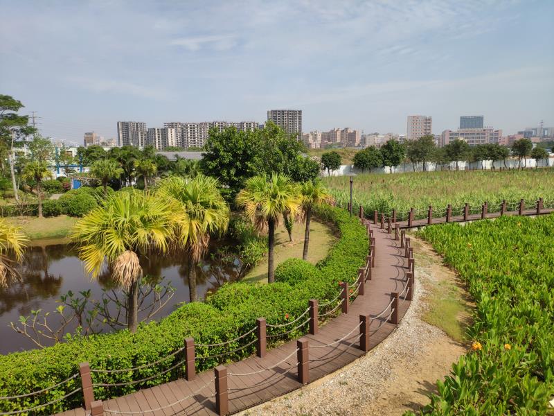 打造“不一样出彩”的水环境示范区，光明区这样做！