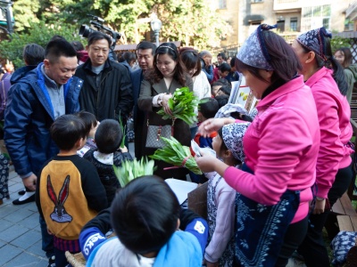 东莞这所幼儿园里有块“育美农场” 种菜义卖，从小培养环保理念