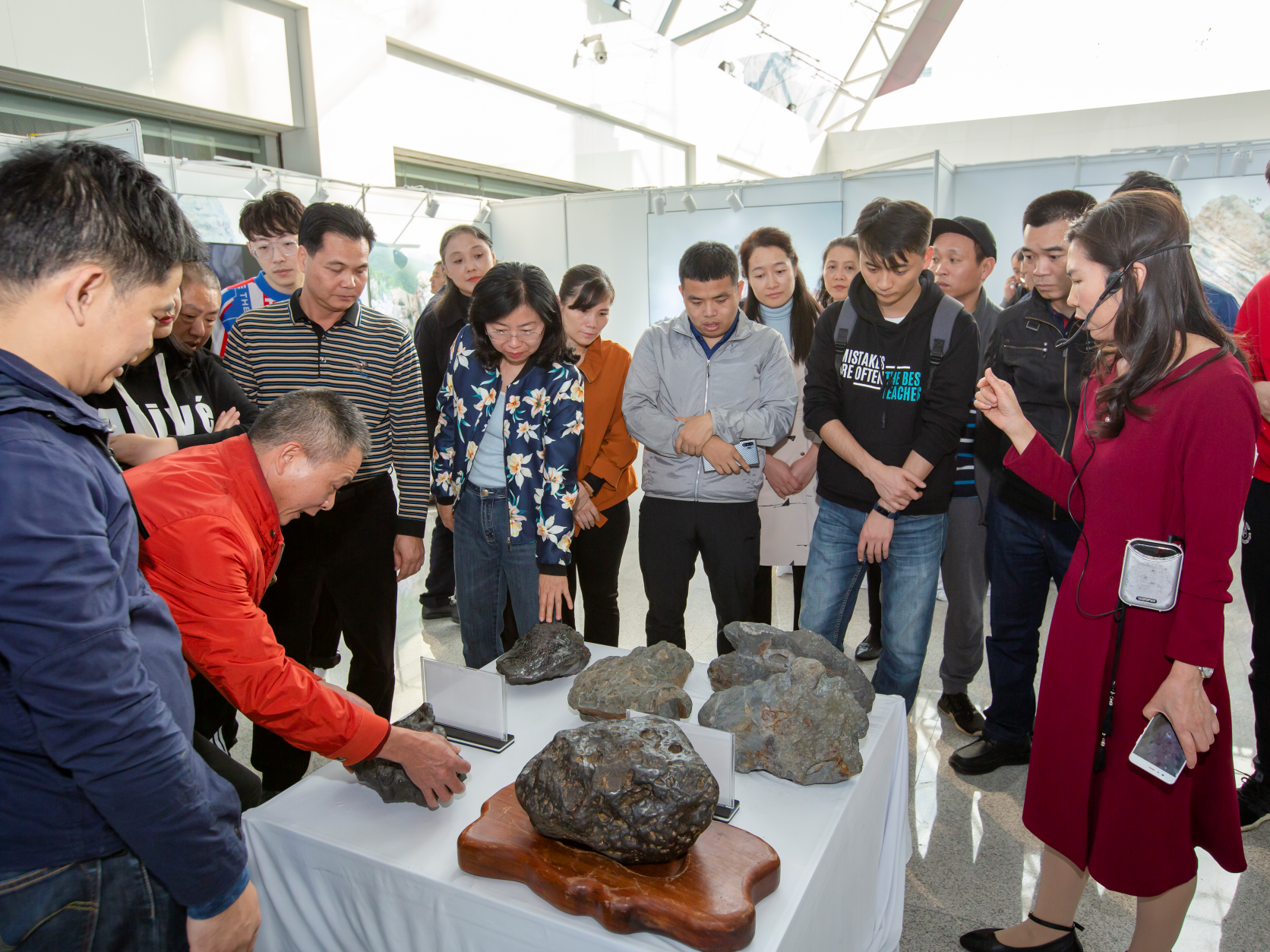 2亿年前的花朵长什么样？深圳侏罗纪海岸展览来了
