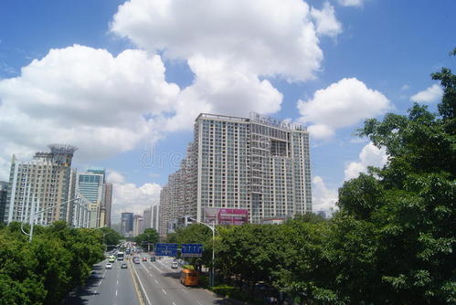 南山区蛇口街道海滨社区党委——把社区群众满意作为主题教育目标