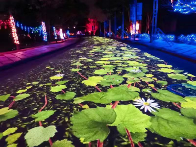 深圳西部也有了“不夜景区” ！海上田园全息光影秀开幕