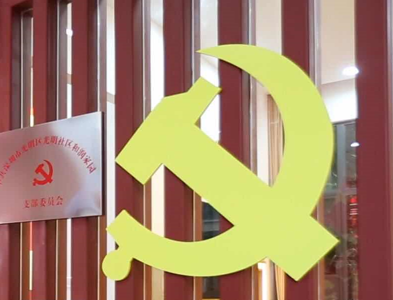 广东10家社会组织将承接试点创建党建工作站