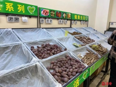 深圳农业龙头企业协会倡议：保供应、稳市场、保安全