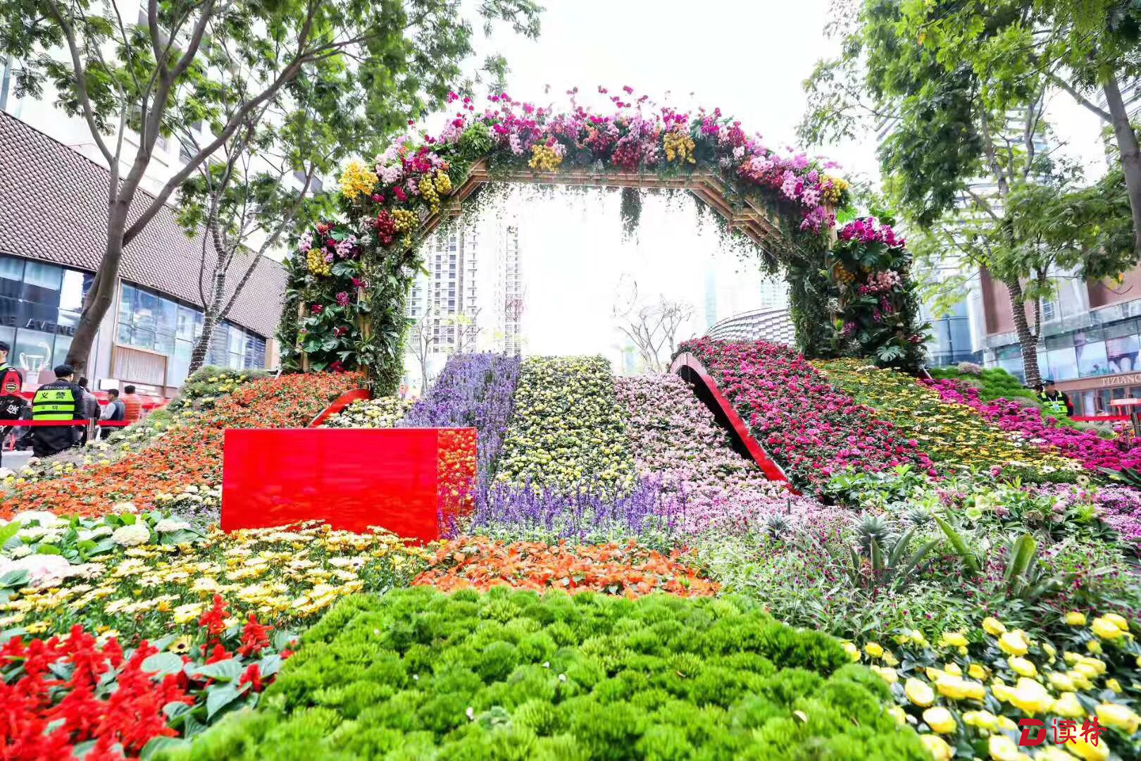 逛花市，迎新春，嘉年华！深圳开启迎春模式