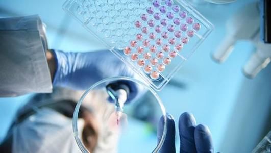 德国确诊4例新型冠状病毒感染的肺炎患者