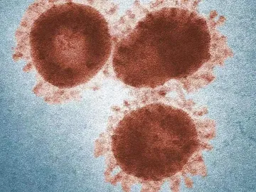 日本国内确认首例新型冠状病毒病例 患者曾前往武汉