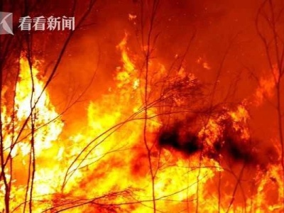 澳山火烧掉1个“比利时” ！5亿只动物可能因火灾而死